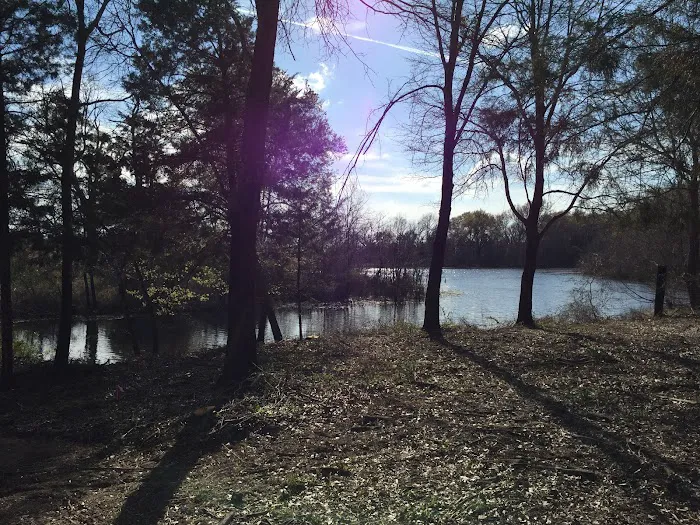 Rolling Oaks RV Park Picture 6