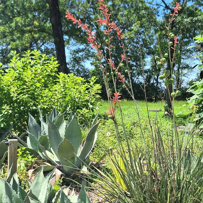 Lonestar RV Park Picture 2