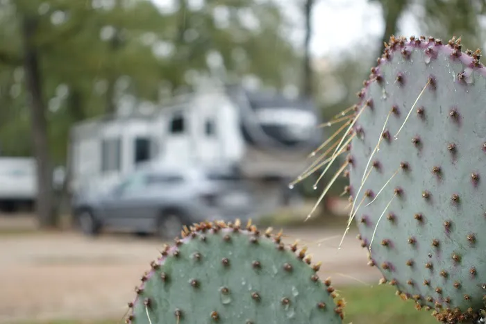 Lonestar RV Park Picture 4