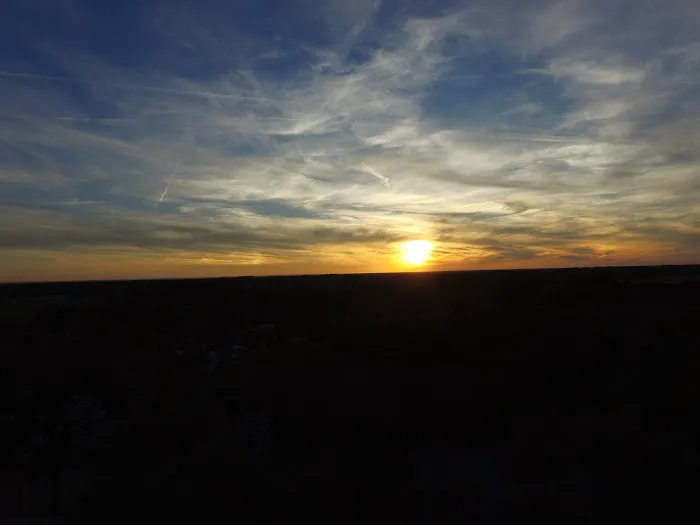 Lonestar RV Park Picture 7