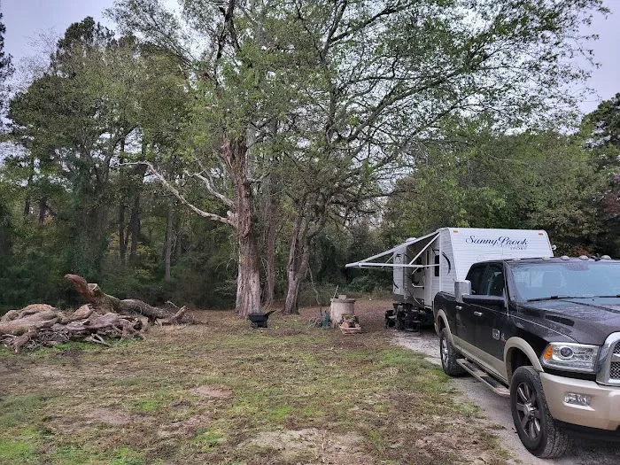 Lake Cypress Springs RV Park Picture 6