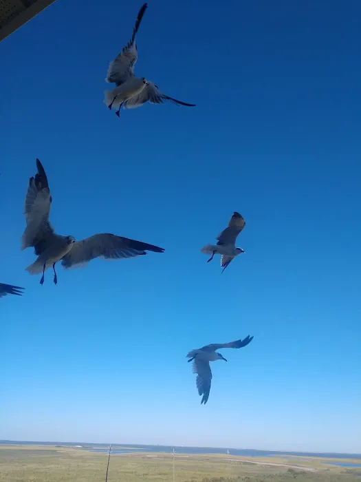 Lake Cypress Springs RV Park Picture 1