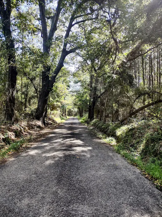 Lake Cypress Springs RV Park Picture 10