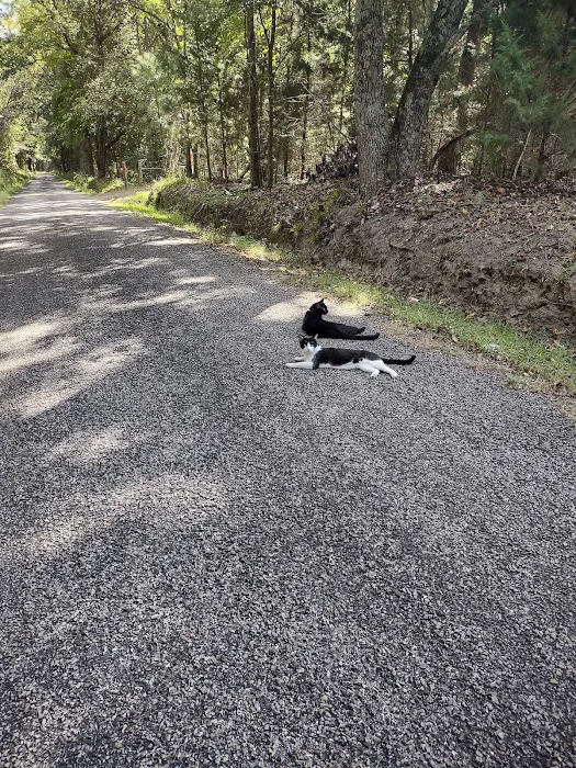 Lake Cypress Springs RV Park Picture 8