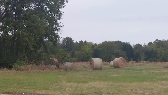 Still Meadow RV Park Picture 7