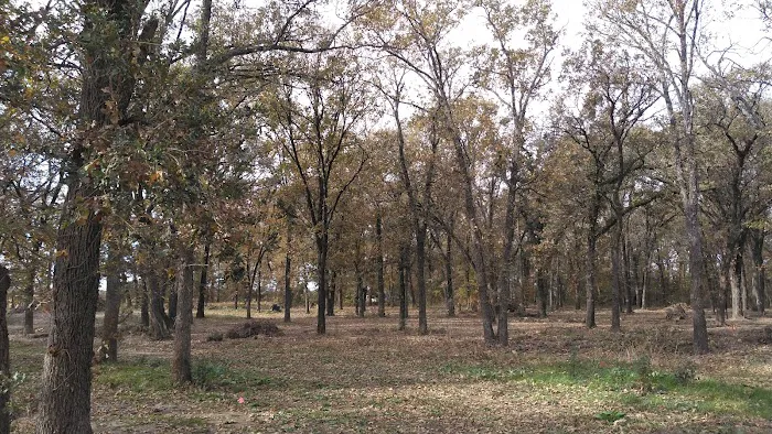 The Lazy Frog RV Park Picture 3