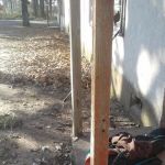 Mc Michael's Mobile Home Park