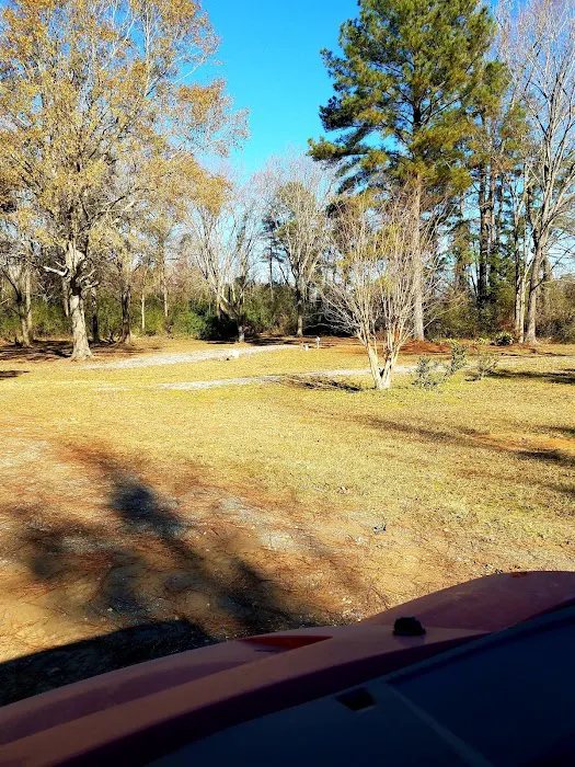 Sandy Lick Creek RV Park Picture 6