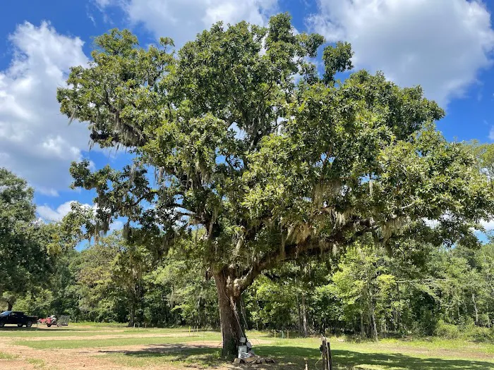 The oaks on bussey Picture 8