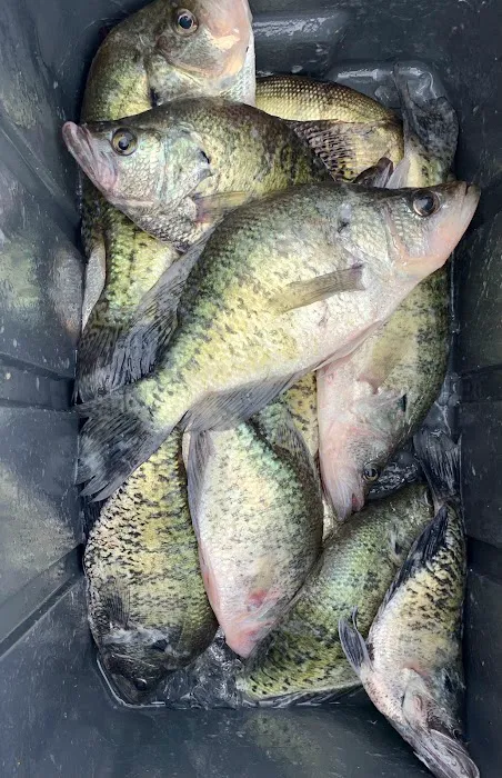 Tom Bell's rv park, boat landing and trailer rentals Picture 4