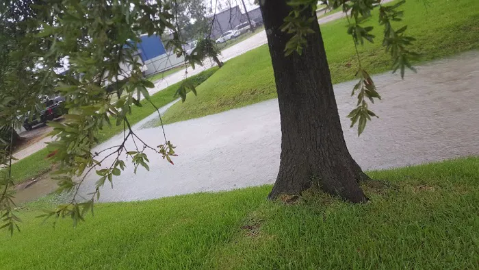 Sheldon Road RV Park Picture 8