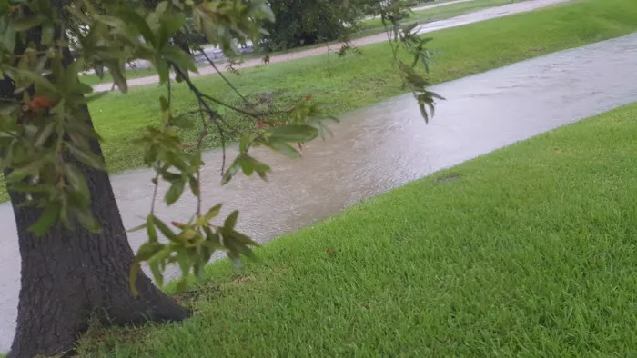 Sheldon Road RV Park Picture 5
