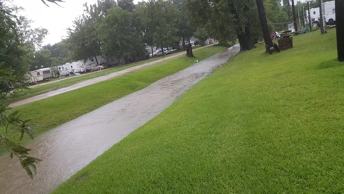 Sheldon Road RV Park Picture 9