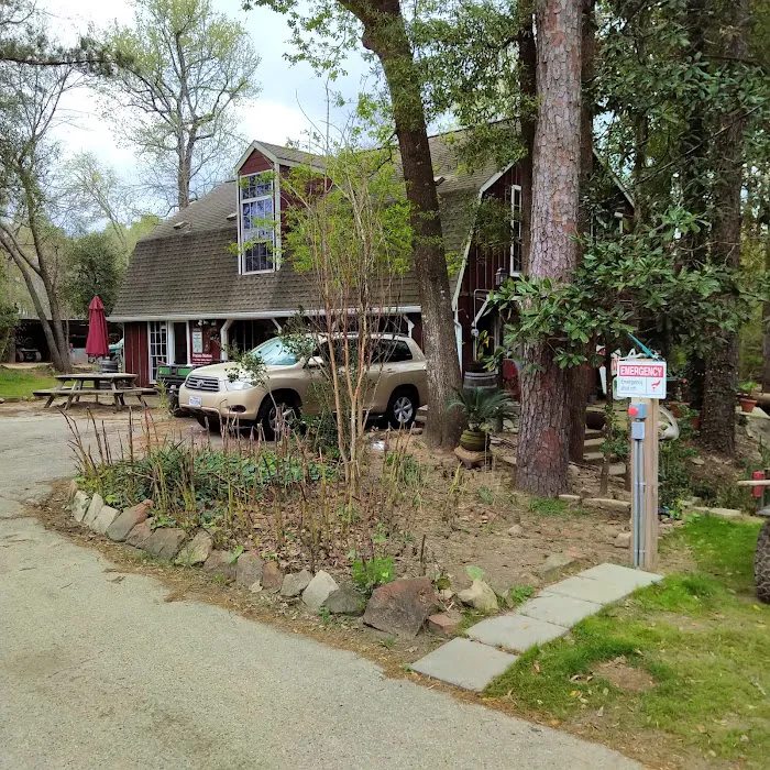 Lake Conroe RV Park Picture 2