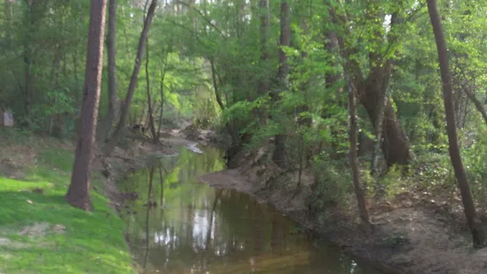 Lake Conroe RV Park Picture 5