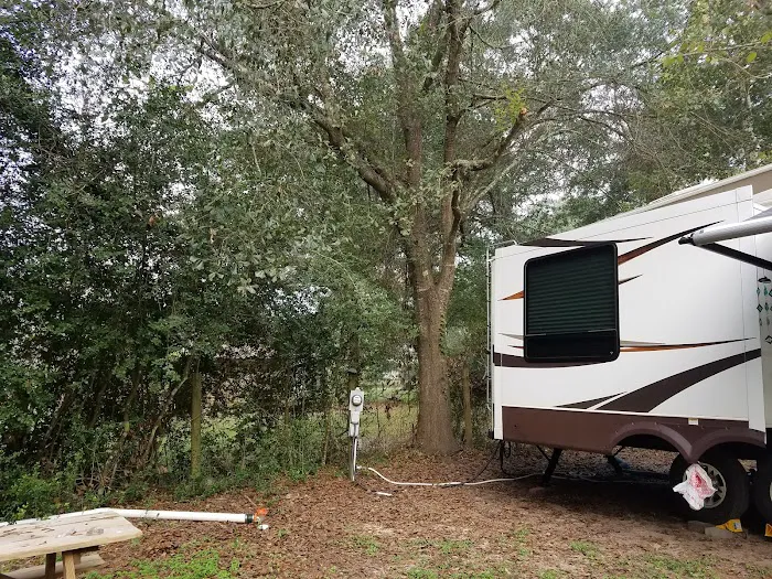 Lake Conroe RV Park Picture 6
