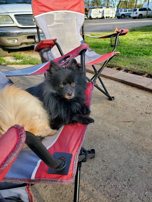 Lake Conroe RV Resort Picture 4