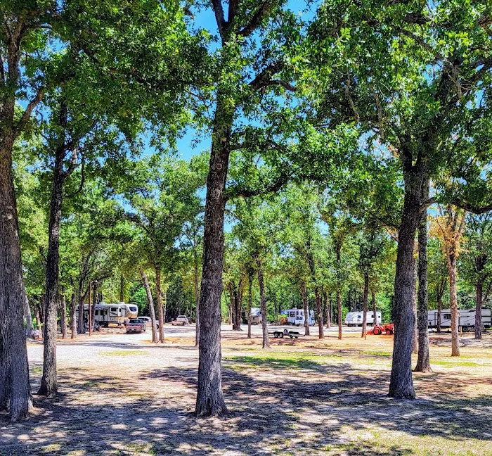 Tranquility In The Trees Retirement RV Park Picture 2