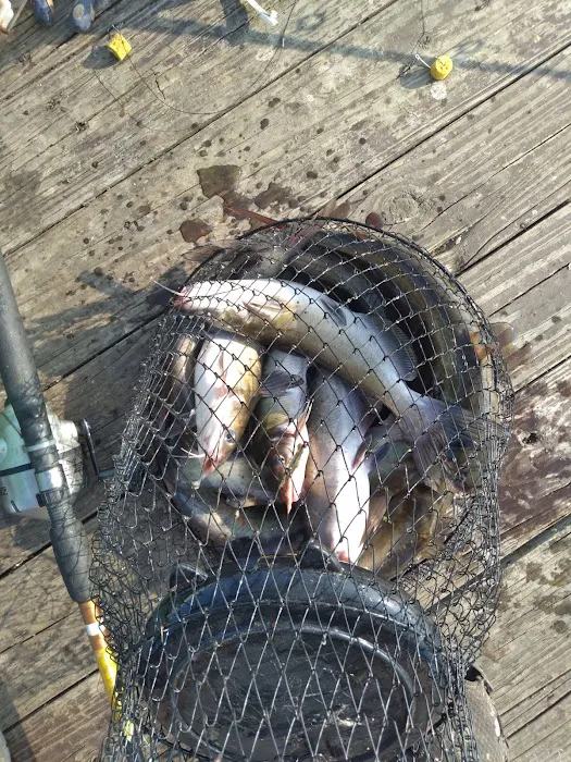 Coffee Creek Landing Picture 2