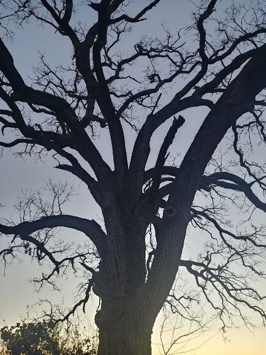 Castaway RV park Picture 6