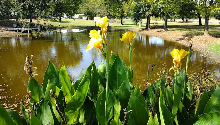 Canton Creek RV Park Picture 7
