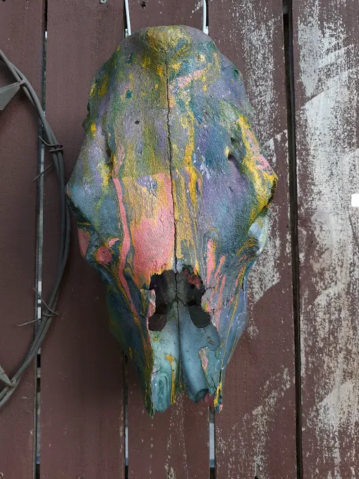 Hickabilly Heaven RV Park Picture 7