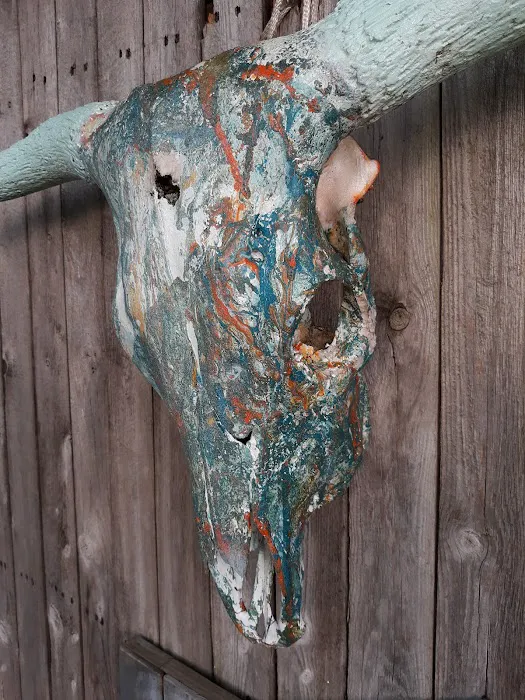 Hickabilly Heaven RV Park Picture 8