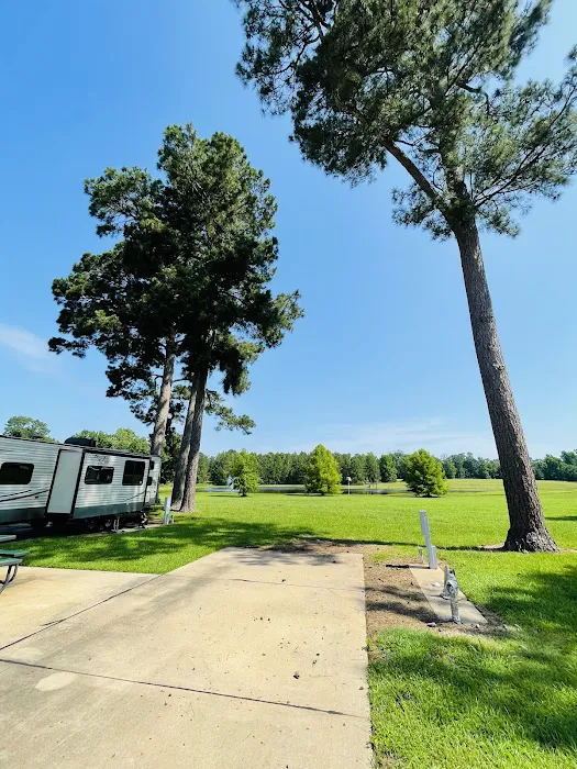 Shady Pines RV Park Picture 8