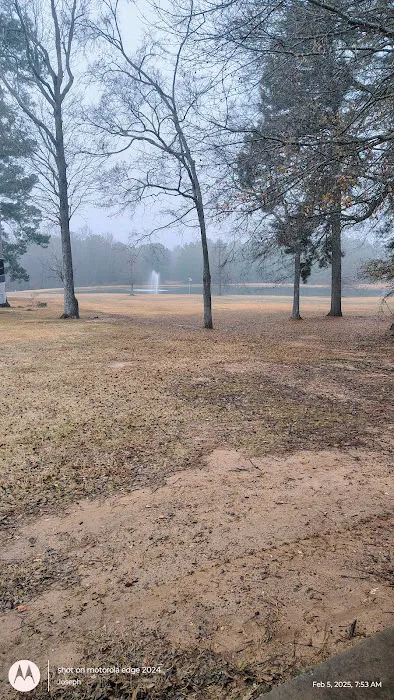 Shady Pines RV Park Picture 6