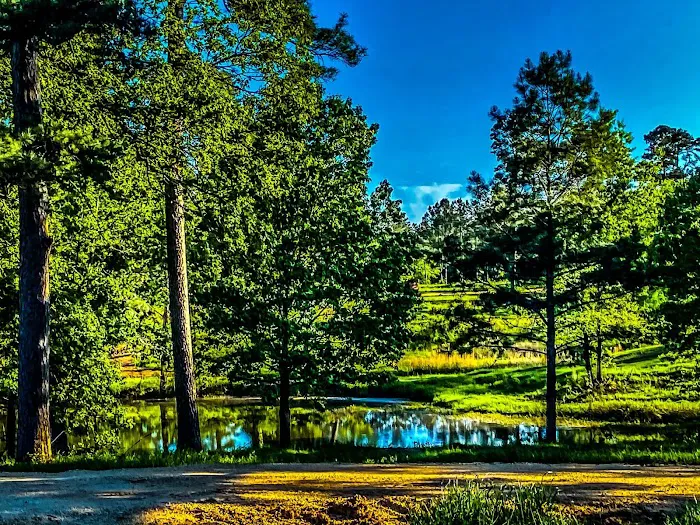 Forest Lake RV Park and Events, LLC Picture 6