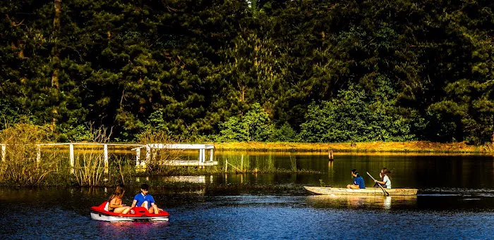 Forest Lake RV Park and Events, LLC Picture 7
