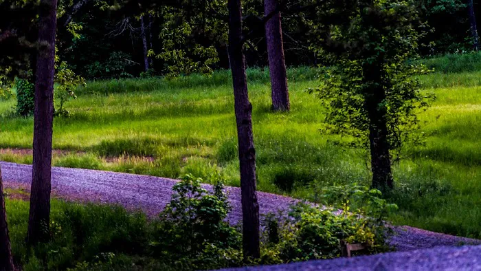 Forest Lake RV Park and Events, LLC Picture 9