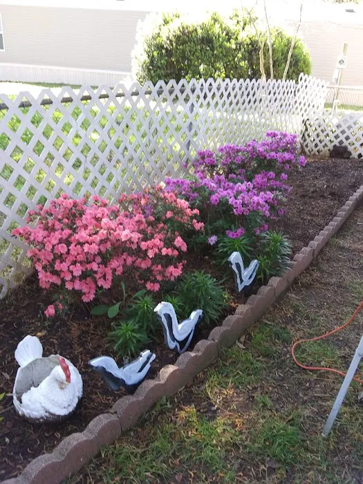 Ridgeview Mobile Home Village Picture 4