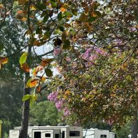 The Ouachita Rv Park ico