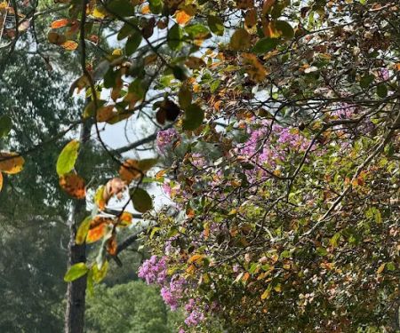 The Ouachita Rv Park