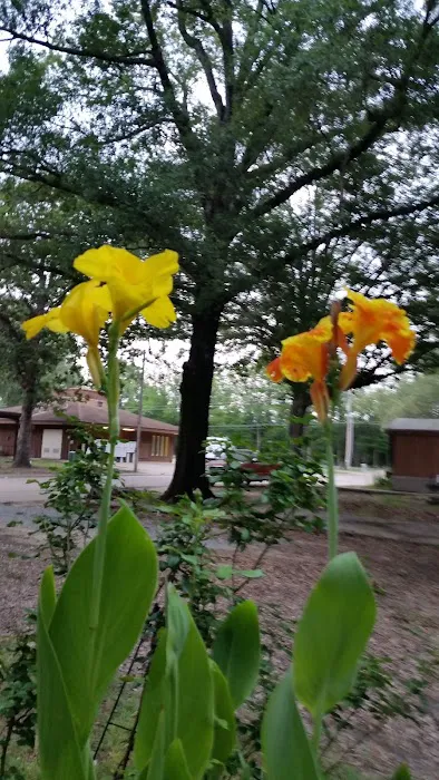 Pecanland Mobile Home & R.V. Park Picture 5