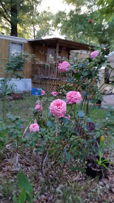 Pecanland Mobile Home & R.V. Park Picture 2