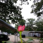 Pecanland Mobile Home & R.V. Park