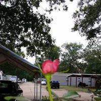 Pecanland Mobile Home & R.V. Park ico