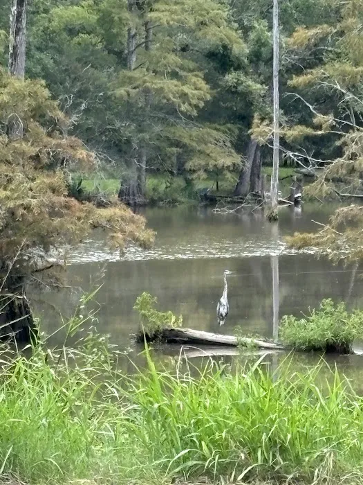 3M RV Park Picture 5