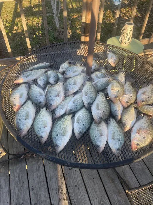 Bayou Bonne Idee RV PARK and one cabin Picture 8