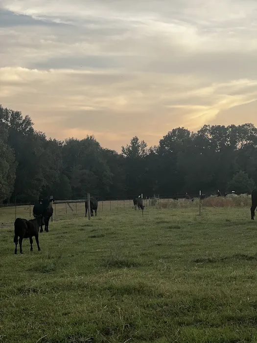 La 425 North RV Park Picture 5