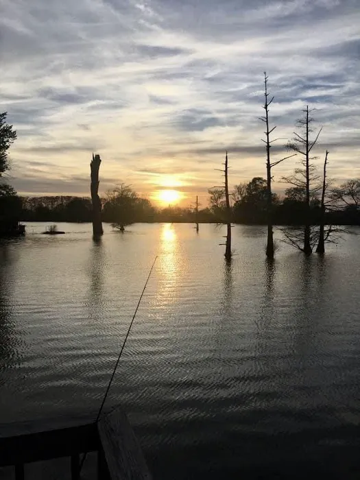 Raz’s Retreat RV Park Picture 6