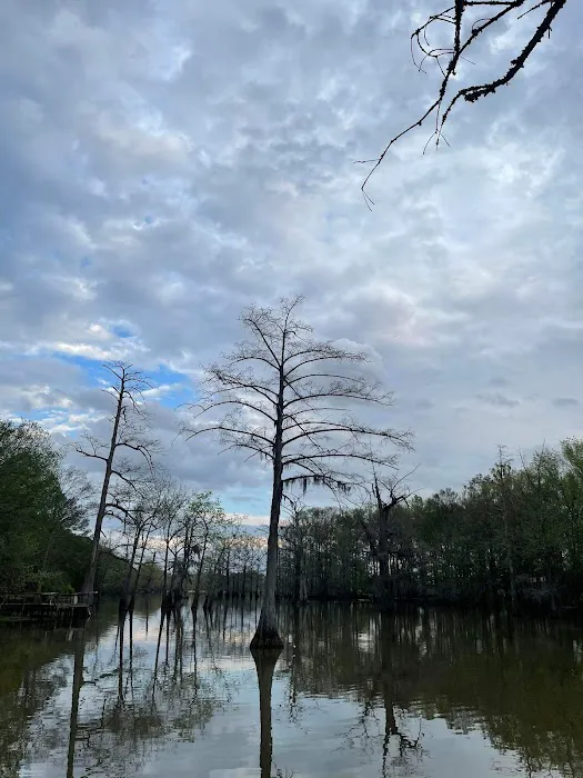 Raz’s Retreat RV Park Picture 3