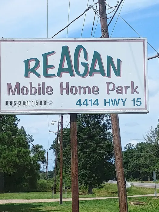 Reagan Mobile Home Park Picture 1