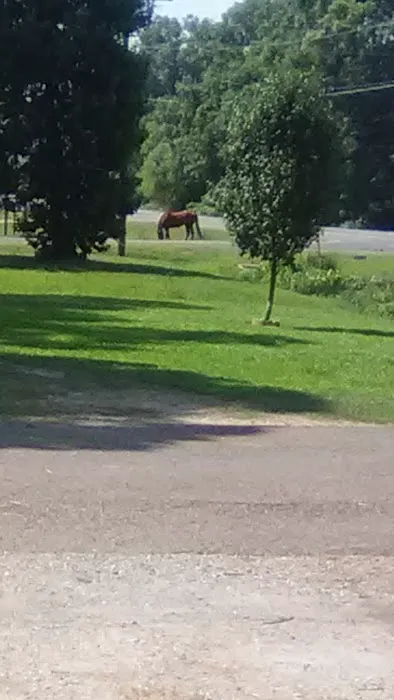 Reagan Mobile Home Park Picture 2