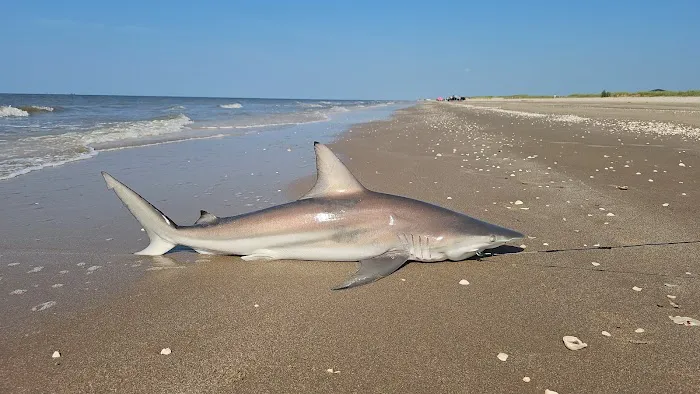 Johnson Bayou RV Park,LLC Picture 10