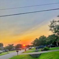 Palm Court RV Park ico