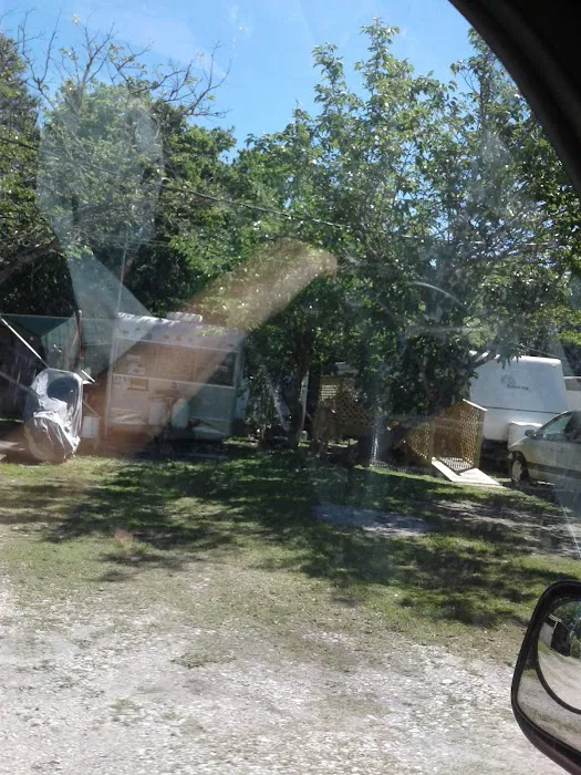 Palm Court RV Park Picture 9