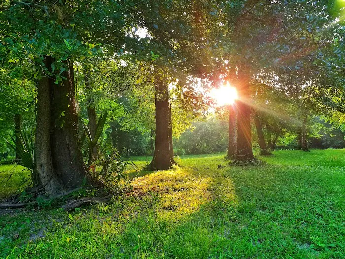 Triple-B RV Park Picture 5